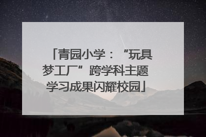 青园小学：“玩具梦工厂”跨学科主题学习成果闪耀校园