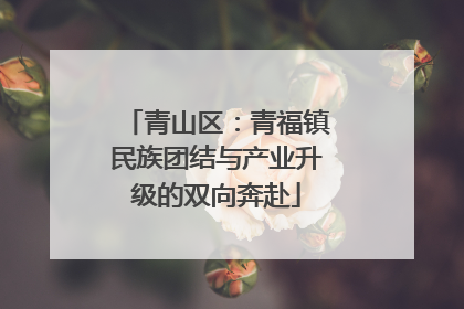 青山区：青福镇民族团结与产业升级的双向奔赴