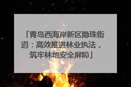 青岛西海岸新区隐珠街道：高效推进林业执法，筑牢林地安全屏障