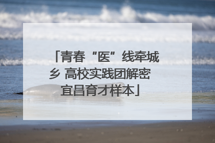青春“医”线牵城乡 高校实践团解密宜昌育才样本