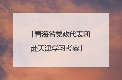 青海省党政代表团赴天津学习考察