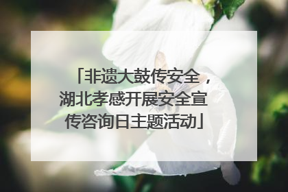 非遗大鼓传安全，湖北孝感开展安全宣传咨询日主题活动