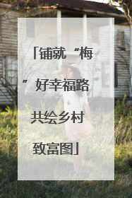 铺就“梅”好幸福路 共绘乡村致富图