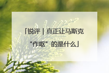 锐评｜真正让马斯克“作呕”的是什么
