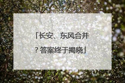 长安、东风合并？答案终于揭晓