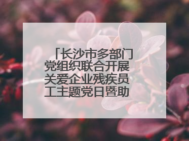 长沙市多部门党组织联合开展关爱企业残疾员工主题党日暨助残日特别活动