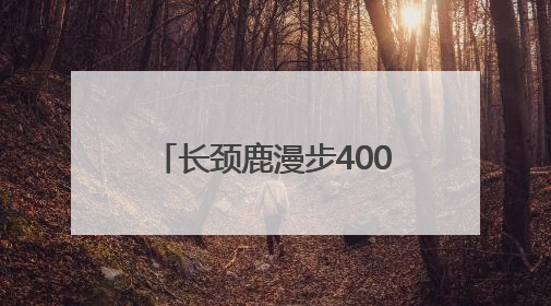 长颈鹿漫步400米完成动物园里的“非洲迁徙” 红山森林动物园完成怀孕长颈鹿步行转运