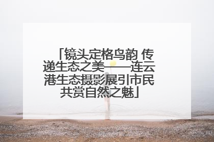 镜头定格鸟韵 传递生态之美——连云港生态摄影展引市民共赏自然之魅