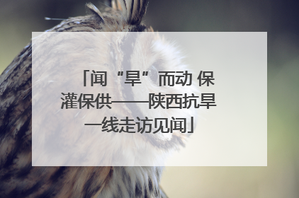 闻“旱”而动 保灌保供——陕西抗旱一线走访见闻