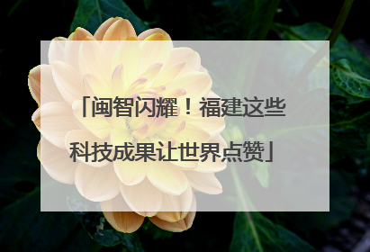 闽智闪耀！福建这些科技成果让世界点赞