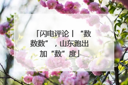 闪电评论丨“数数数”，山东跑出加“数”度