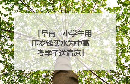 阜南一小学生用压岁钱买水为中高考学子送清凉