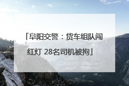 阜阳交警：货车组队闯红灯 28名司机被拘