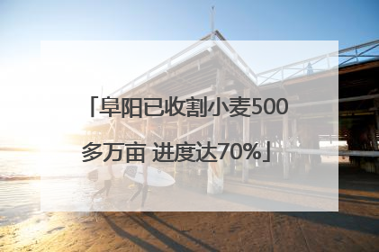 阜阳已收割小麦500多万亩 进度达70%