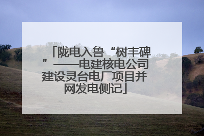 陇电入鲁“树丰碑”——电建核电公司建设灵台电厂项目并网发电侧记