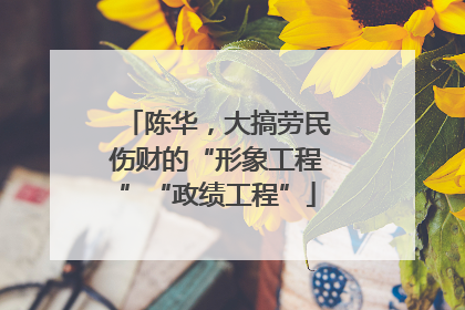 陈华，大搞劳民伤财的“形象工程”“政绩工程”
