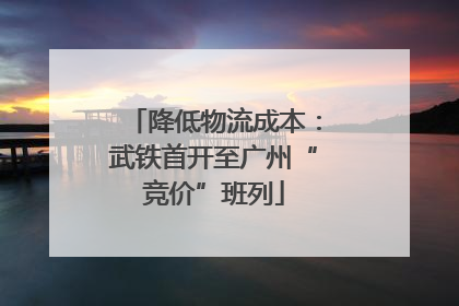 降低物流成本：武铁首开至广州“竞价”班列