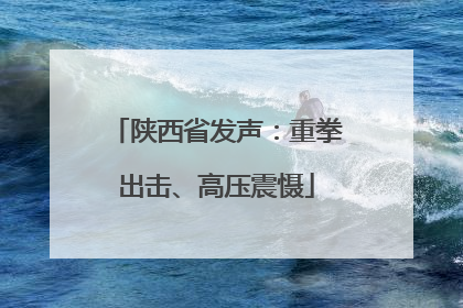 陕西省发声：重拳出击、高压震慑