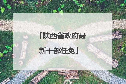陕西省政府最新干部任免