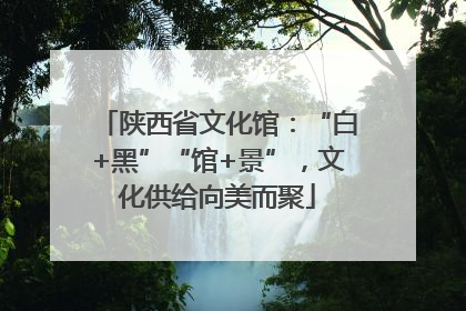 陕西省文化馆：“白+黑”“馆+景”，文化供给向美而聚