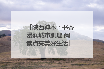 陕西神木：书香浸润城市肌理 阅读点亮美好生活