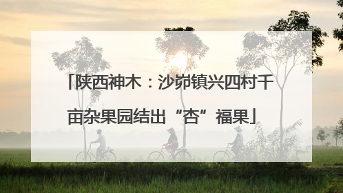陕西神木：沙峁镇兴四村千亩杂果园结出“杏”福果