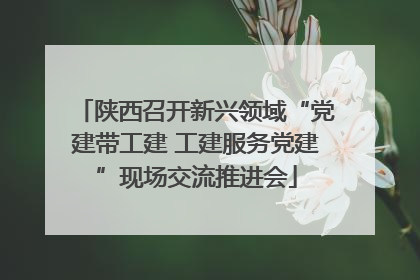 陕西召开新兴领域“党建带工建 工建服务党建”现场交流推进会