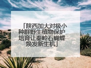 陕西加大对极小种群野生植物保护培育让秦岭石蝴蝶焕发新生机