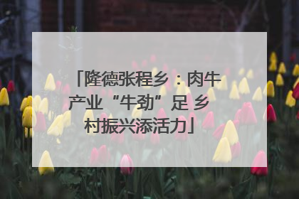 隆德张程乡：肉牛产业“牛劲”足 乡村振兴添活力