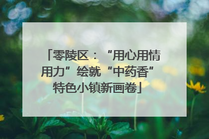 零陵区：“用心用情用力”绘就“中药香”特色小镇新画卷