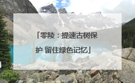 零陵：提速古树保护 留住绿色记忆