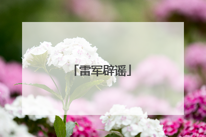 雷军辟谣