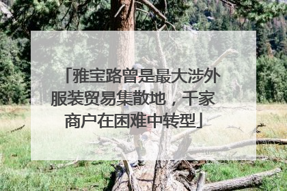 雅宝路曾是最大涉外服装贸易集散地，千家商户在困难中转型