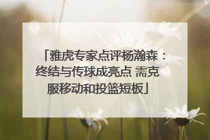 雅虎专家点评杨瀚森：终结与传球成亮点 需克服移动和投篮短板