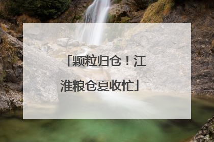 颗粒归仓！江淮粮仓夏收忙