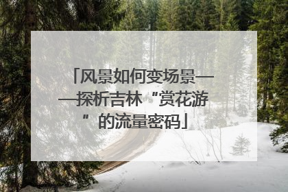 风景如何变场景——探析吉林“赏花游”的流量密码