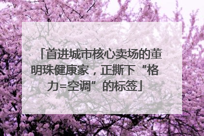 首进城市核心卖场的董明珠健康家，正撕下“格力=空调”的标签