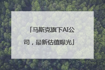 马斯克旗下AI公司，最新估值曝光