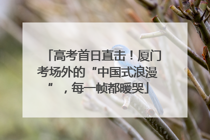 高考首日直击！厦门考场外的“中国式浪漫”，每一帧都暖哭