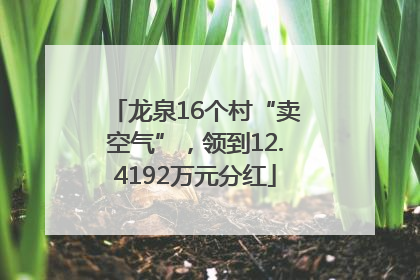 龙泉16个村“卖空气”，领到12.4192万元分红