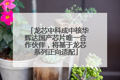 龙芯中科成中核华辉达国产芯片唯一合作伙伴，将基于龙芯系列正向适配