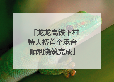 龙龙高铁下村特大桥首个承台顺利浇筑完成