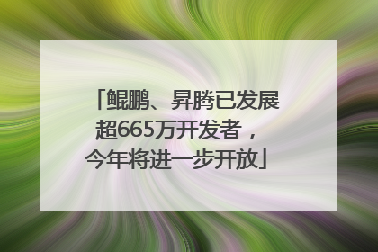 鲲鹏、昇腾已发展超665万开发者，今年将进一步开放