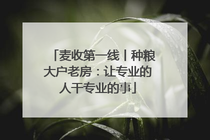 麦收第一线丨种粮大户老房：让专业的人干专业的事