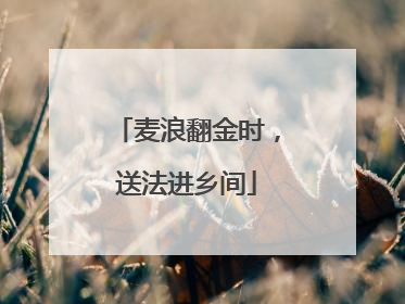 麦浪翻金时，送法进乡间
