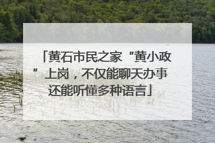 黄石市民之家“黄小政”上岗，不仅能聊天办事还能听懂多种语言