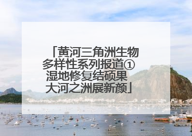 黄河三角洲生物多样性系列报道①湿地修复结硕果 大河之洲展新颜