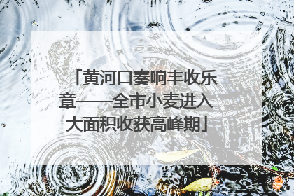 黄河口奏响丰收乐章——全市小麦进入大面积收获高峰期