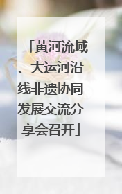 黄河流域、大运河沿线非遗协同发展交流分享会召开