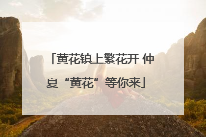 黄花镇上繁花开 仲夏“黄花”等你来